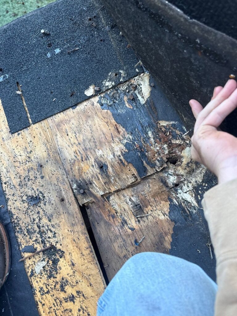 Rotten decking found and replaced during a Dickson tear-off