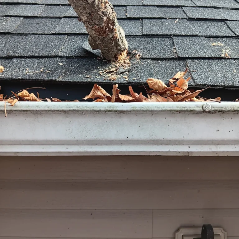 Tree limb through a shingle roof