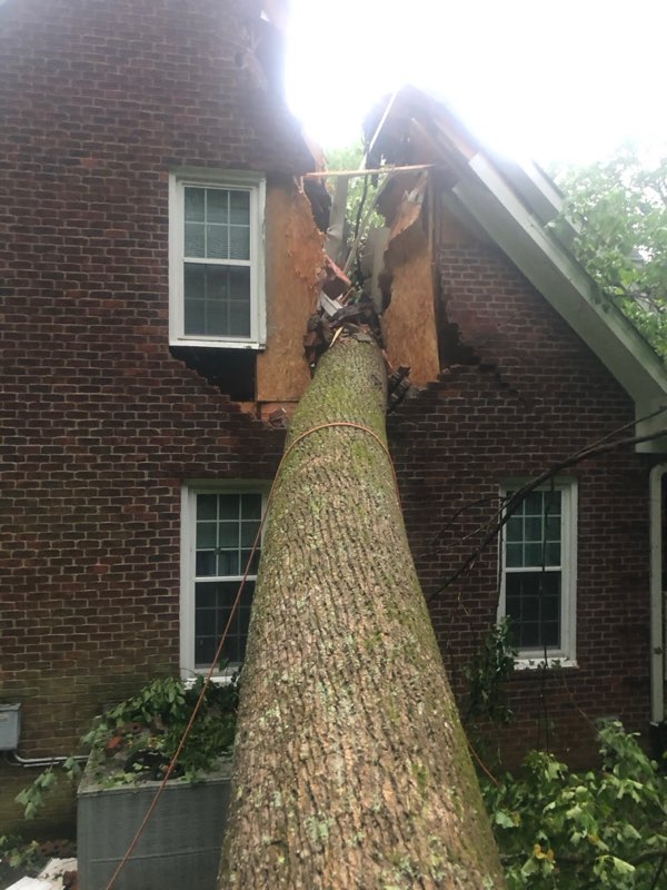 Storm Damage & Insurance